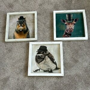 Set of 3 animal pictures